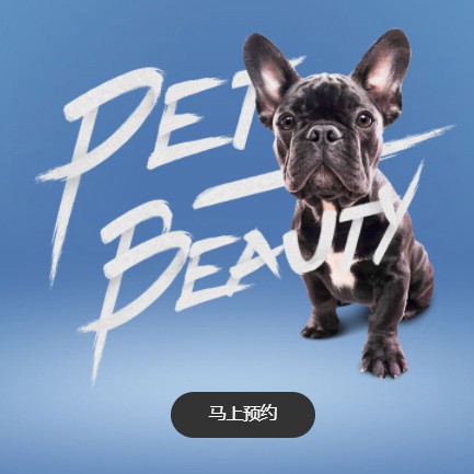 兴义市宠物中心小程序开发