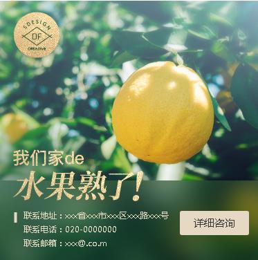 兴义市果园果林小程序开发